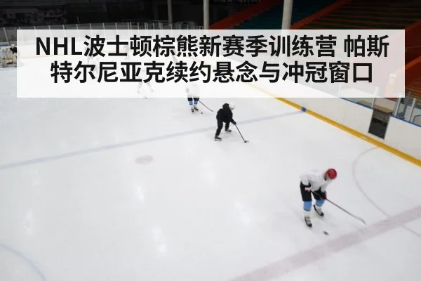 NHL波士顿棕熊新赛季训练营 帕斯特尔尼亚克续约悬念与冲冠窗口